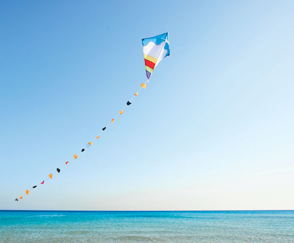 Όραμα, Αποστολή, Στρατηγική